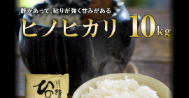 【ふるさと納税】大分県産 ヒノヒカリ（緒方米） 10kg 令和3年産 ひのひかり 白米 お米 米 コメ 精米 九州 送料無料