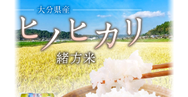 【ふるさと納税】大分県産 ヒノヒカリ 緒方米 5kg 専用箱入 令和3年産 お米 米 白米 精米 九州産 豊後大野市産 緒方町産 送料無料